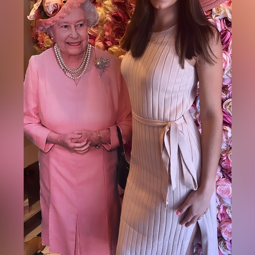 Pink lily tan ribbed knit midi dress - Picture 5 of 5